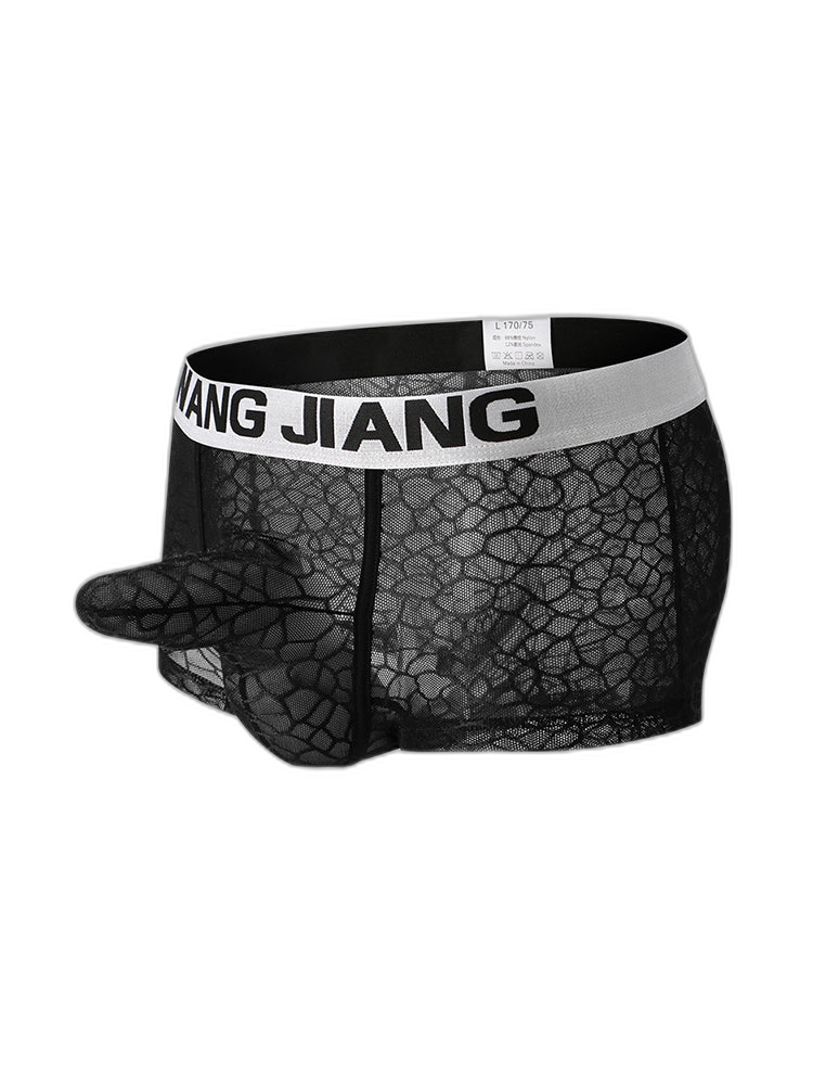 2 Pack Men's Ice Silk Lace Solid Sexy Trunks