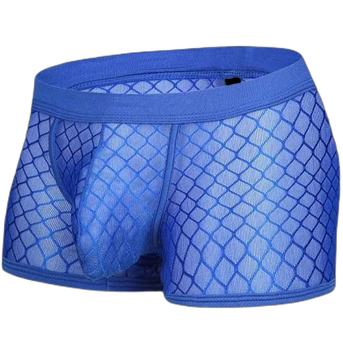 Transparent Mesh Boxers