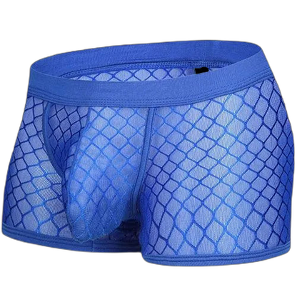 Transparent Mesh Boxers