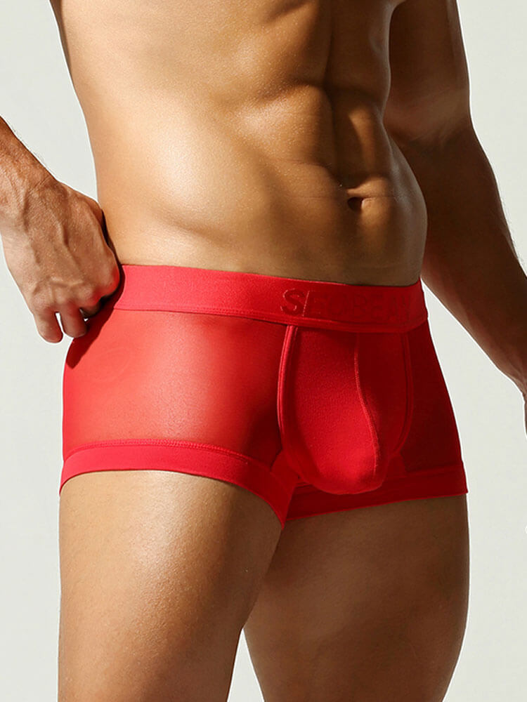 Men's Sexy Side-Panel Transparent Elastic Boxer Briefs