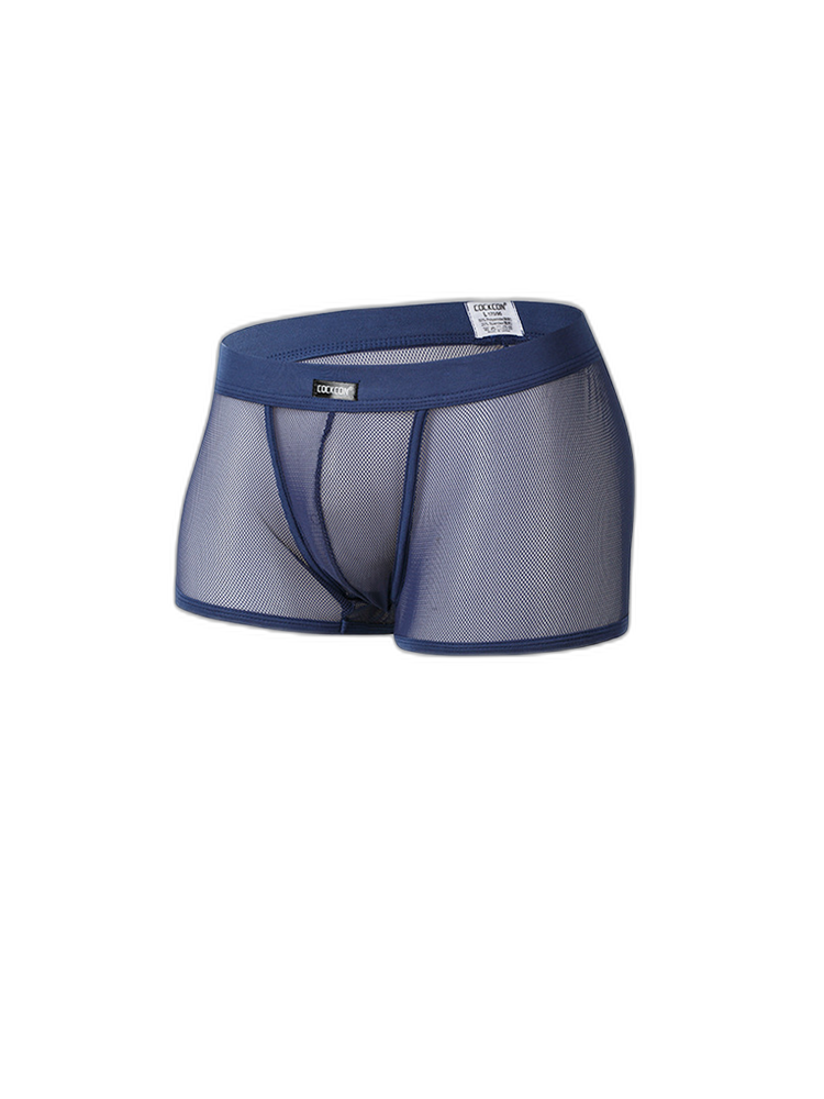 Men's Sexy Transparent Mesh Trunks