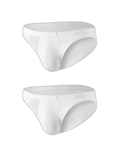 2 Pack Men's Sheer Mesh Low-Rise Sexy Ice Silk Briefs