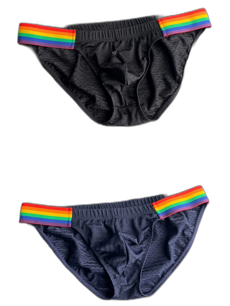 Men's Sexy Rainbow Pride Mesh Bikini