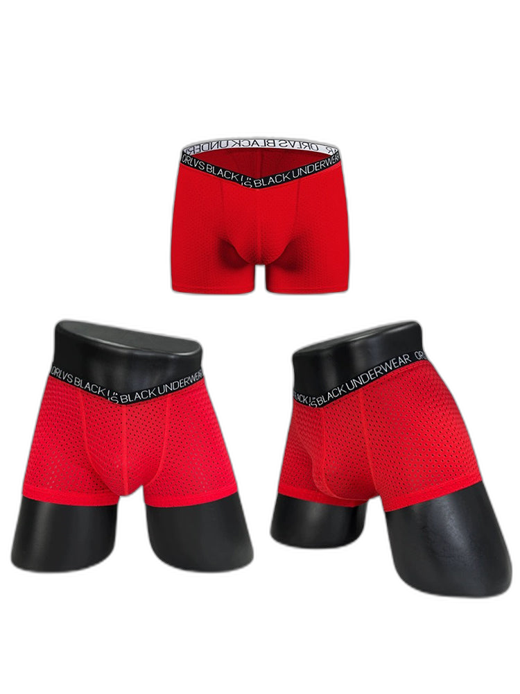2 Pack Men's Sexy V-shape Waistband Mesh Trunks