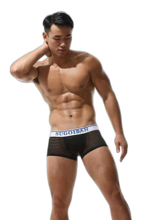 Men's Sexy Transparent Striped Trunks