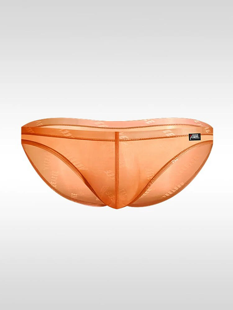 Men's Ultra-Thin Sexy Sheer High-Cut Underwear
