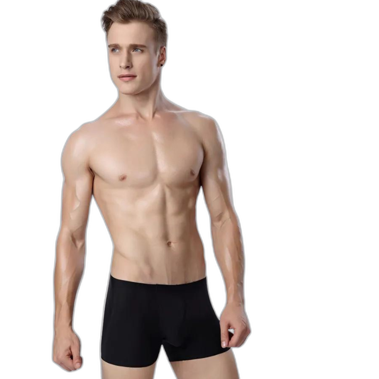 Ice Embrace Transparent Boxer Briefs (4 Pack)