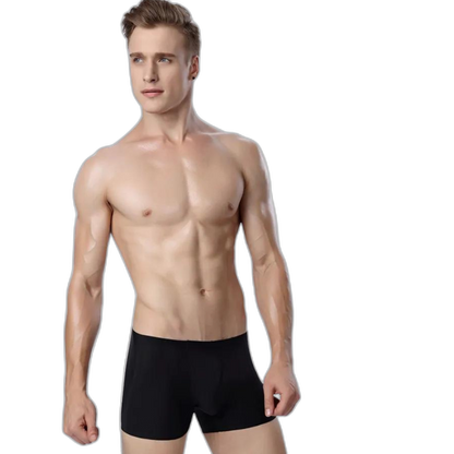 Ice Embrace Transparent Boxer Briefs (4 Pack)