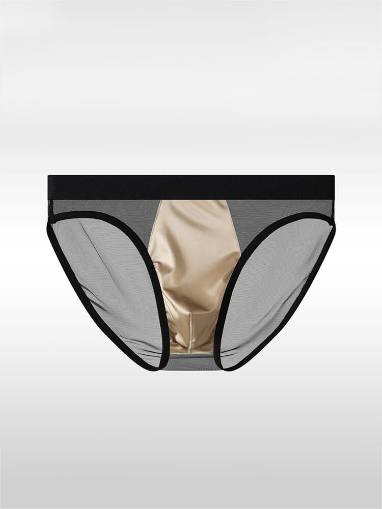 Men's Sexy Sheer Mesh Satin Pouch Briefs