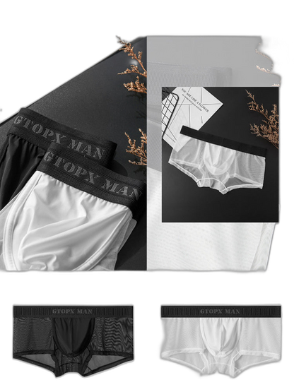 2-Pack Men's Breathable Mesh Ice Silk U-convex Low Waist Boxer Briefs