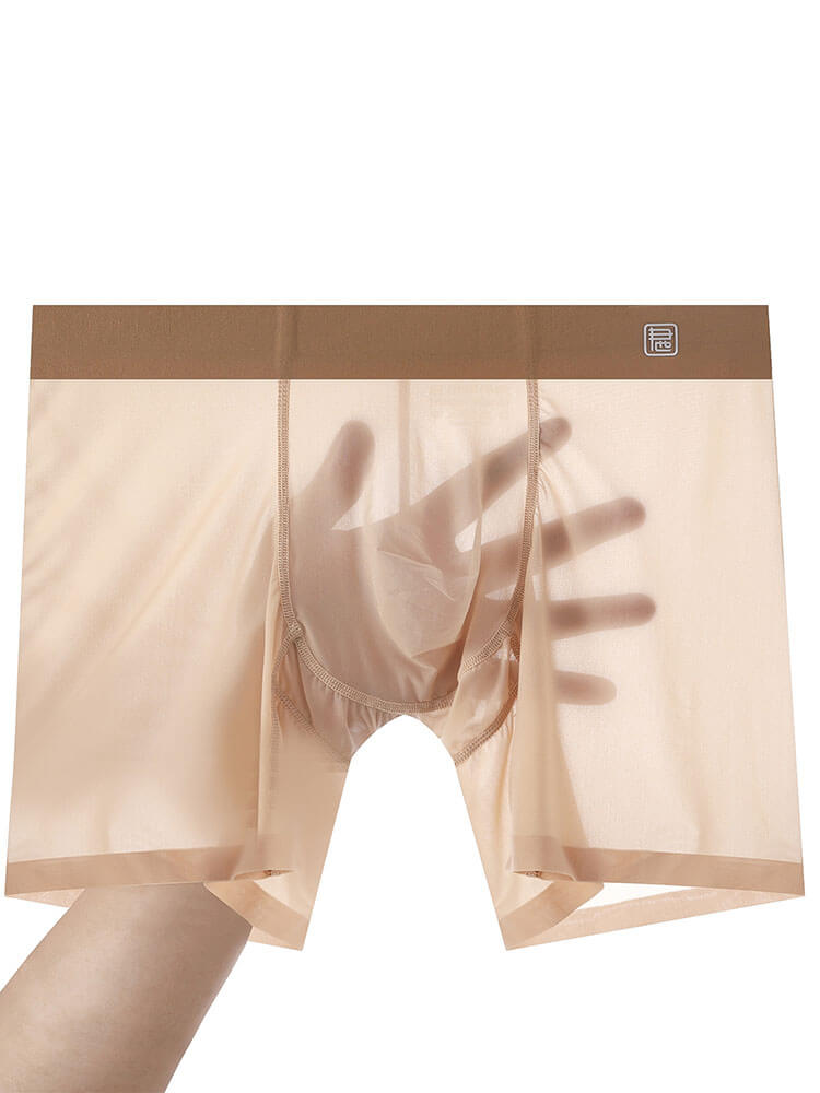 Men's Sexy Sheer Anti-Chafe Thin Ice Silk Boxer Briefs