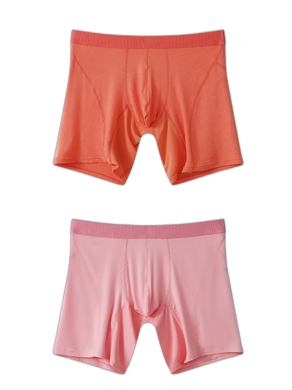 2 Pack Men’s Casual Ice Silk Midway Briefs