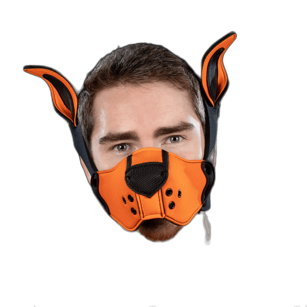 Mr S Leather Neoprene K9 Kit Orrange