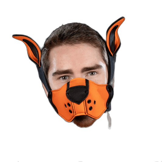 Mr S Leather Neoprene K9 Kit Orrange