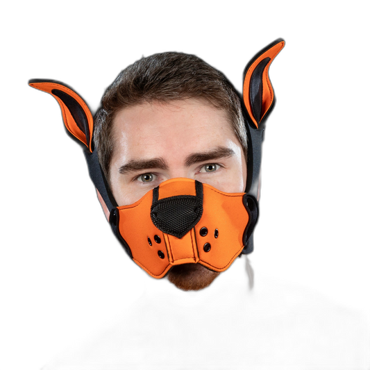 Mr S Leather Neoprene K9 Kit Ears Orange