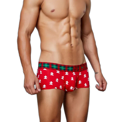 Festive Christmas Tartan Boxer Briefs