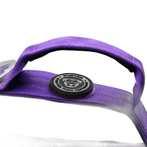 4cm Tactical Collar Purple