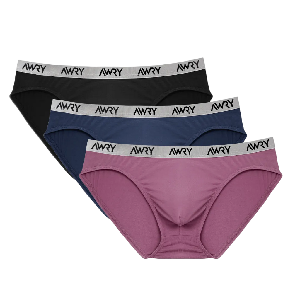 3 Pack SIGNATURE Slip Briefs