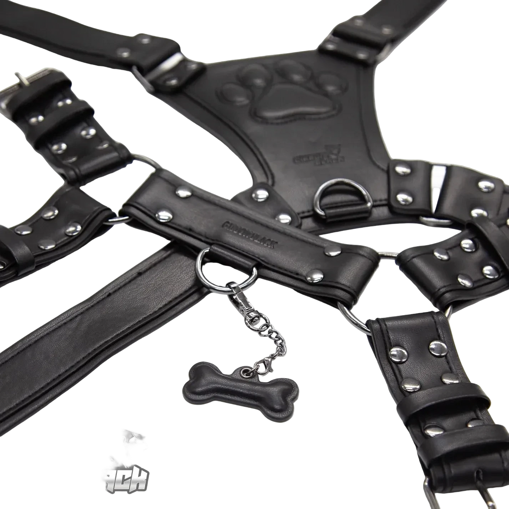 PU Leather Puppy Harness