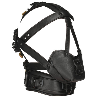 Lockable Head Harness with Muzzle