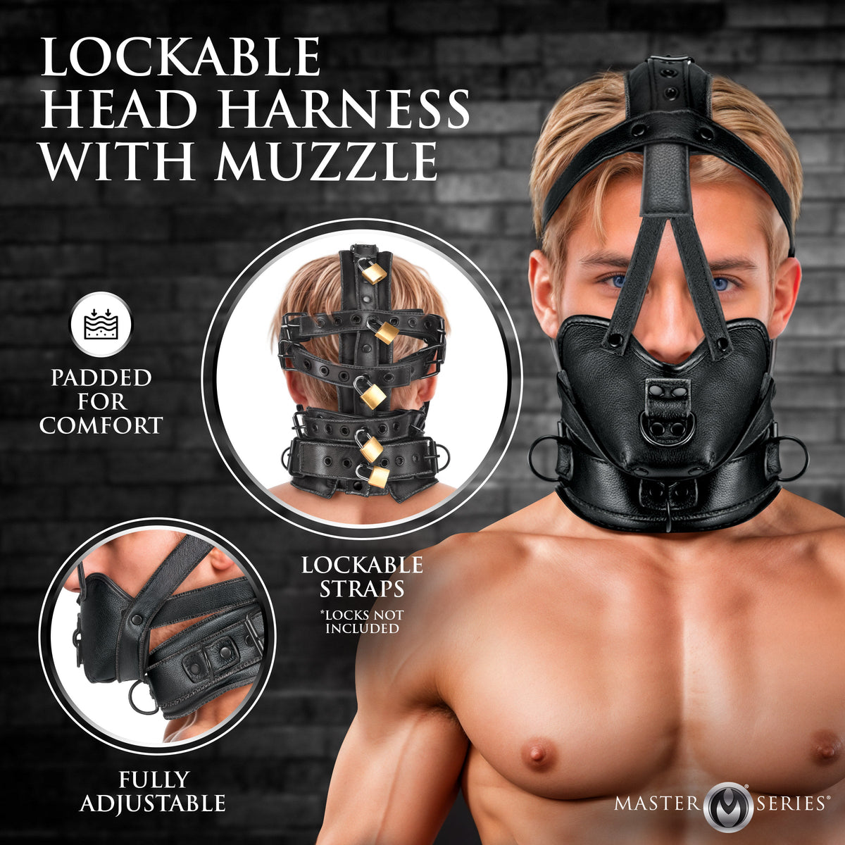 Lockable Head Harness with Muzzle