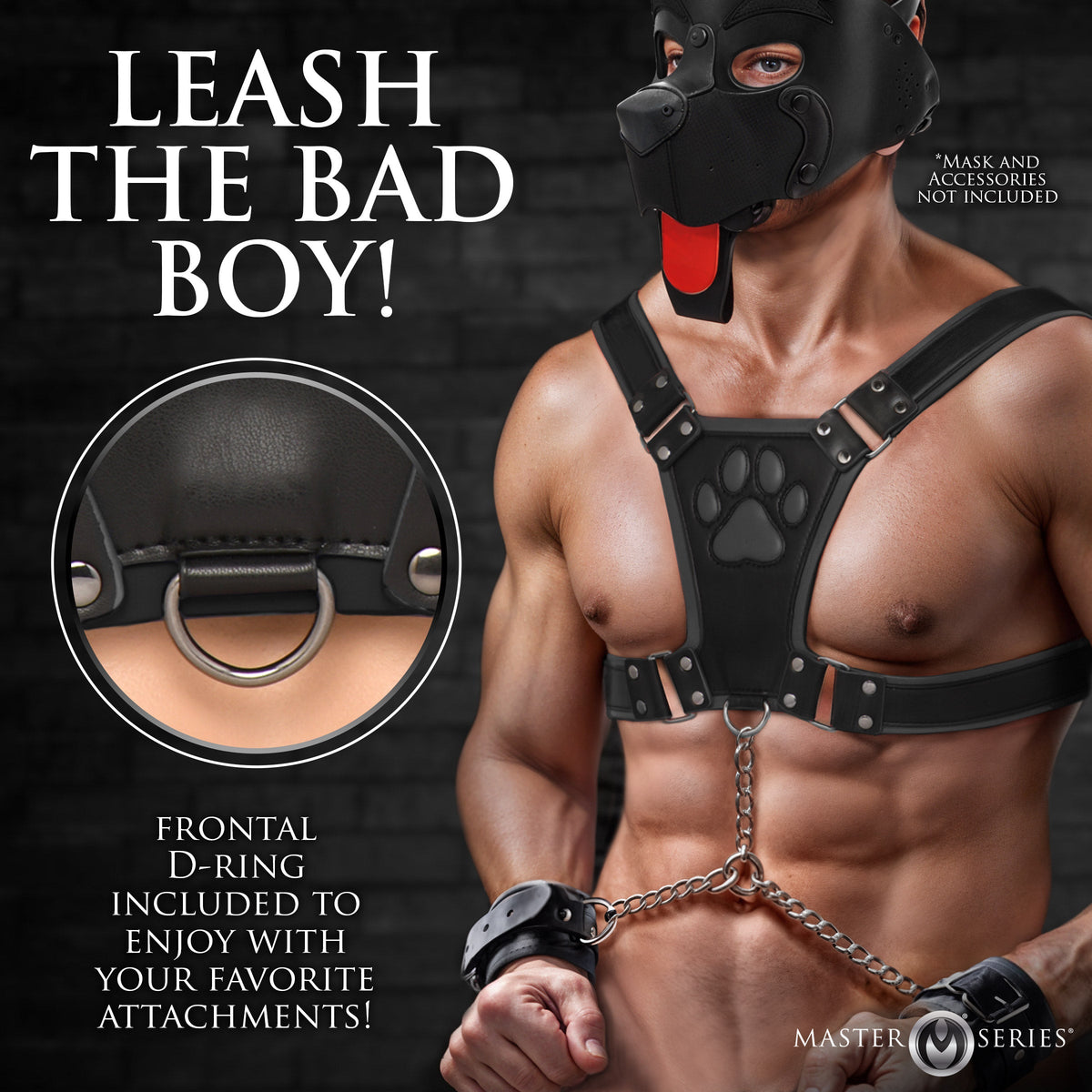 Alpha Pup Bulldog Harness