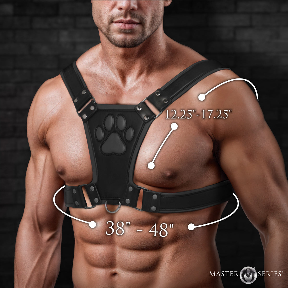 Alpha Pup Bulldog Harness