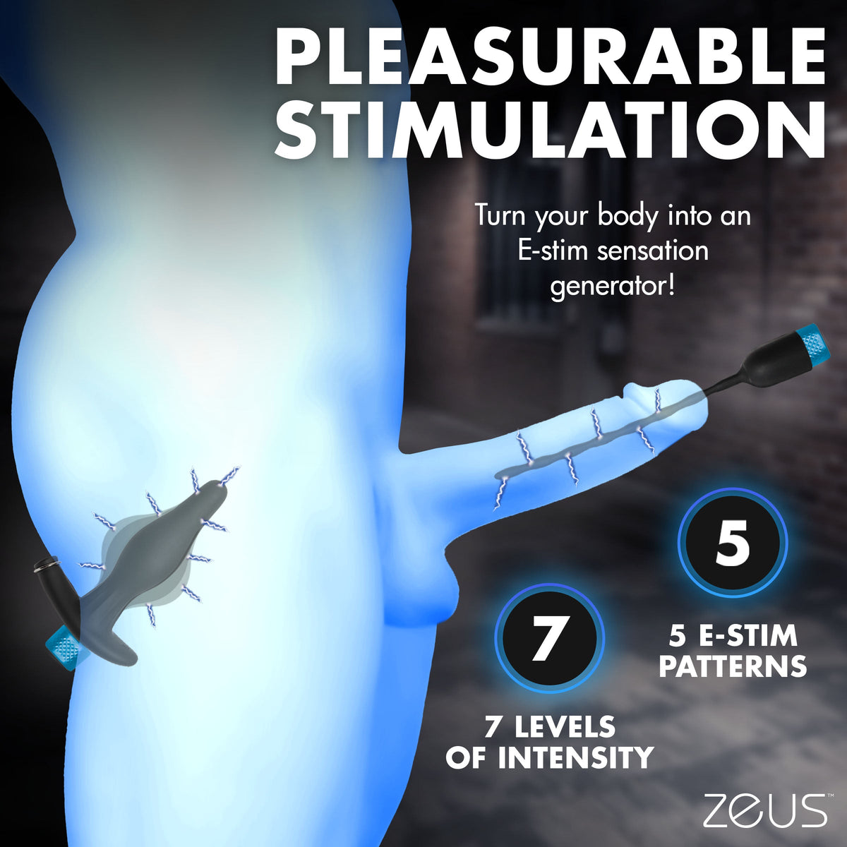 E-Stim Inflatable Anal Plug & Urethral Sound Kit