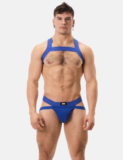 Barcode Berlin Multipack 1x Anton Jock Royal + 1x Harness Matt Royal