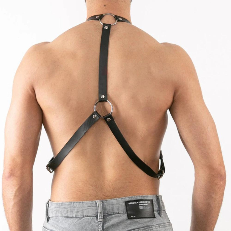 Buckle Up Buddy Black Harness