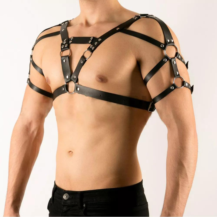 Buckle Up Buddy Black Harness