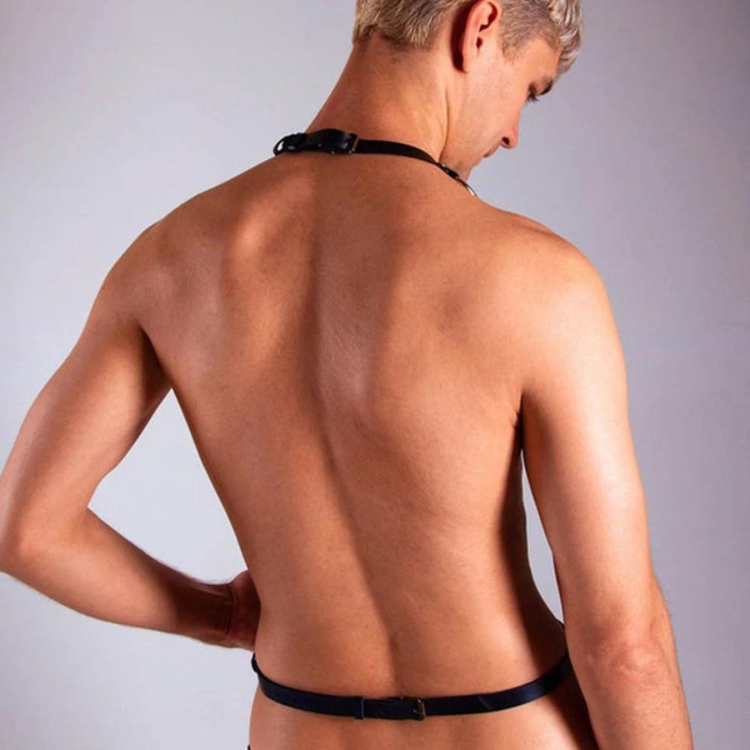 Buckle Up Buddy Black Harness