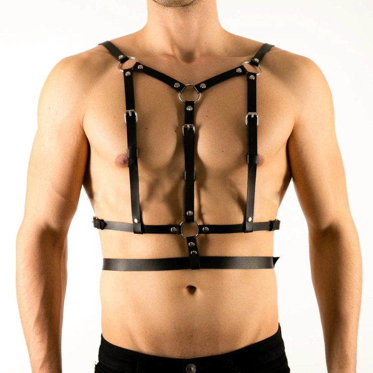 Buckle Up Buddy Black Harness