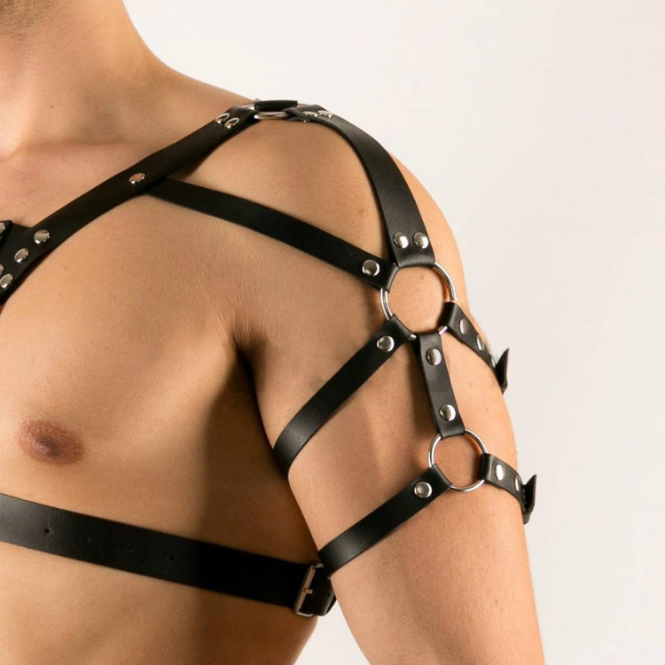 Buckle Up Buddy Black Harness