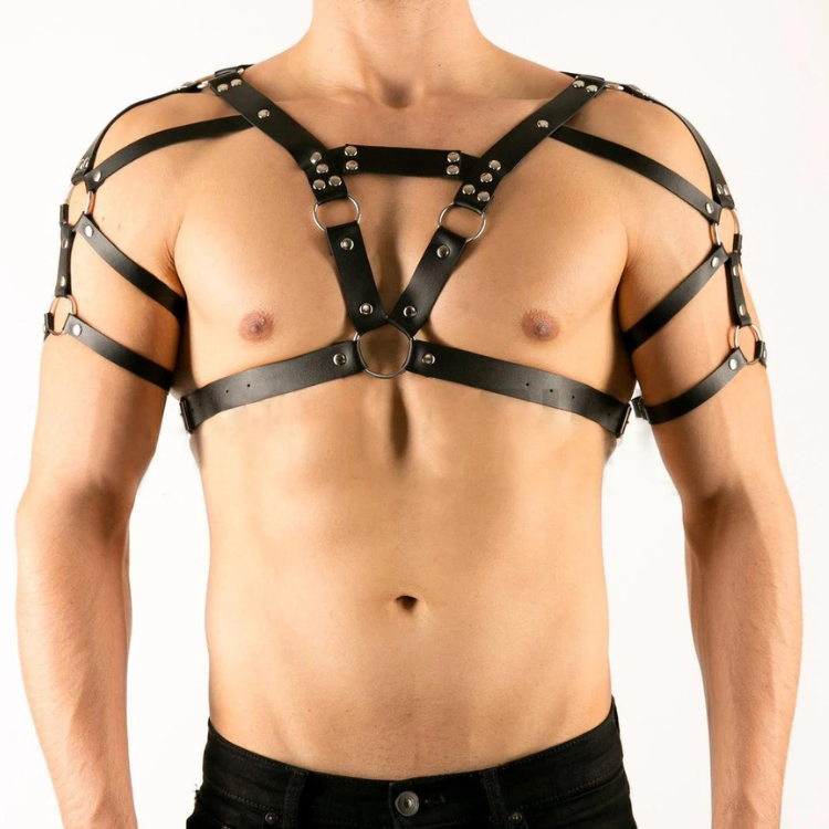 Buckle Up Buddy Black Harness