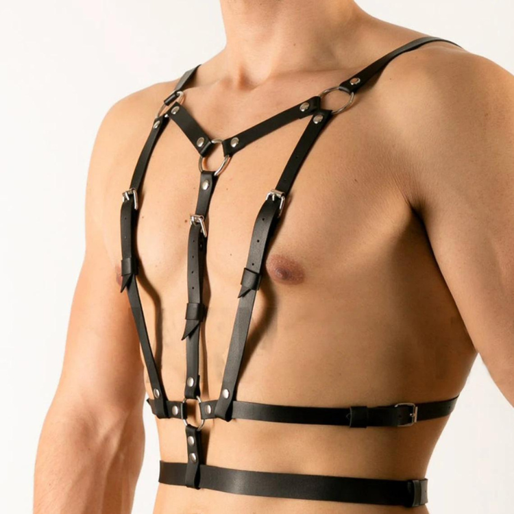 Buckle Up Buddy Black Harness