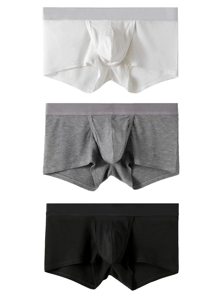 3 Pack Separate Ball Support Pouch Trunks