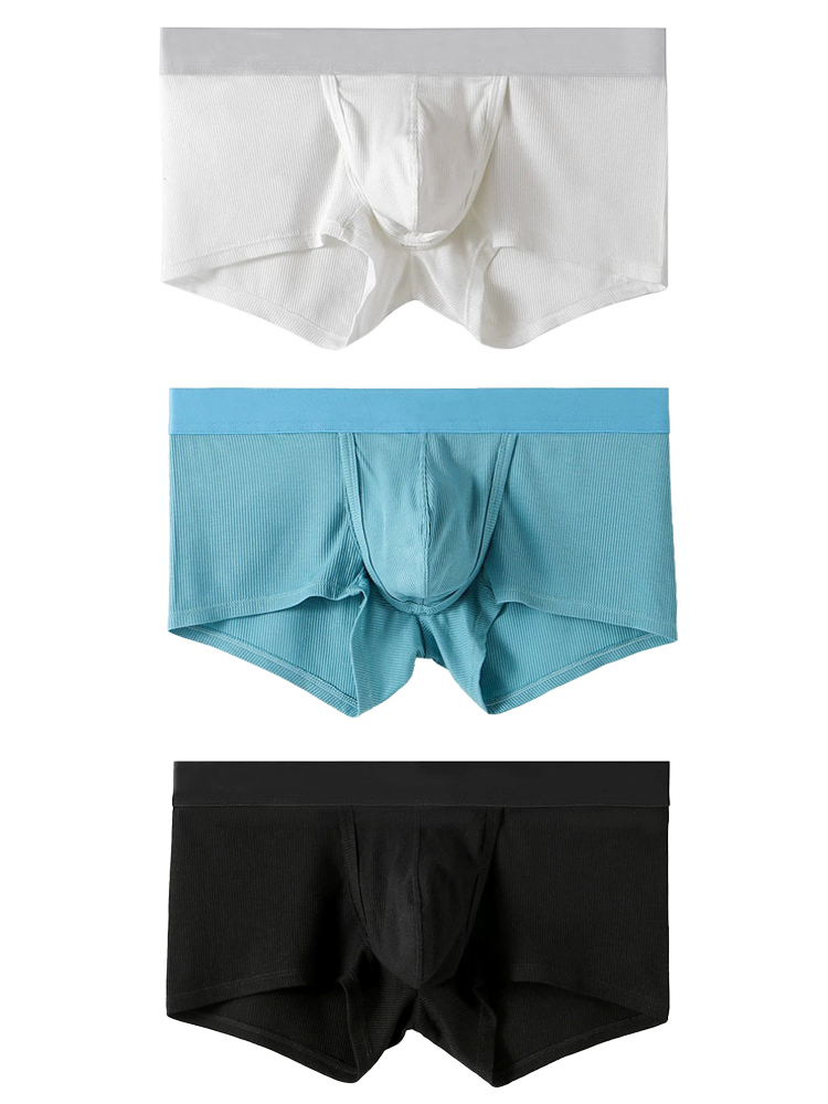 3 Pack Separate Ball Support Pouch Trunks