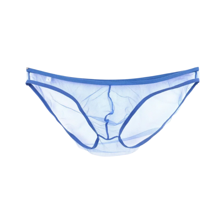 Caught In The Act Men's Mesh Briefs