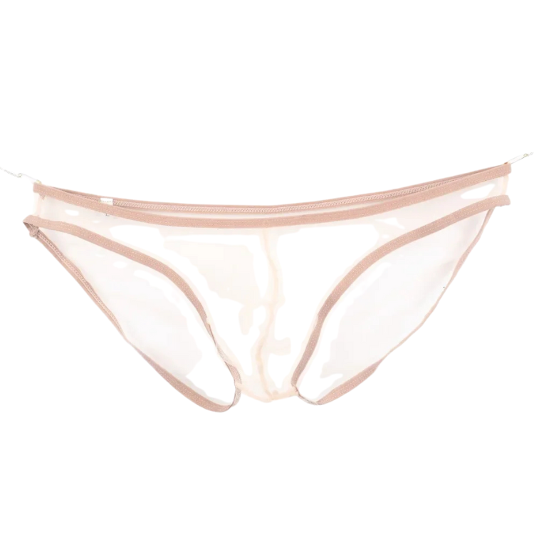 Caught In The Act Men's Mesh Briefs