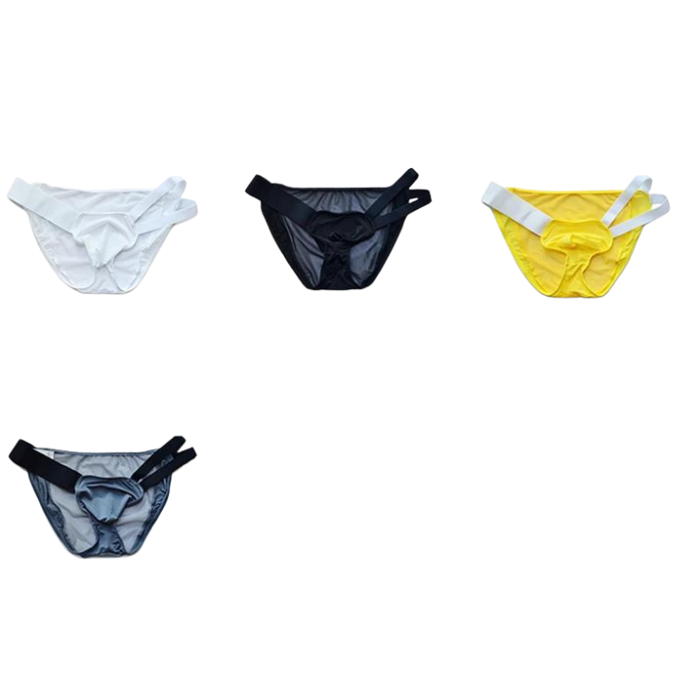 D.M Nylon Low Waist Sexy Mesh Erotic Briefs