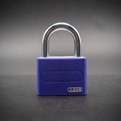 CUSTOM LOCK 19'