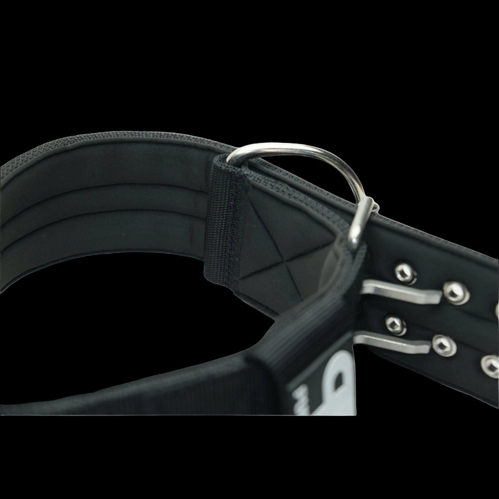 Pure Dog K9 Sport Collar Black