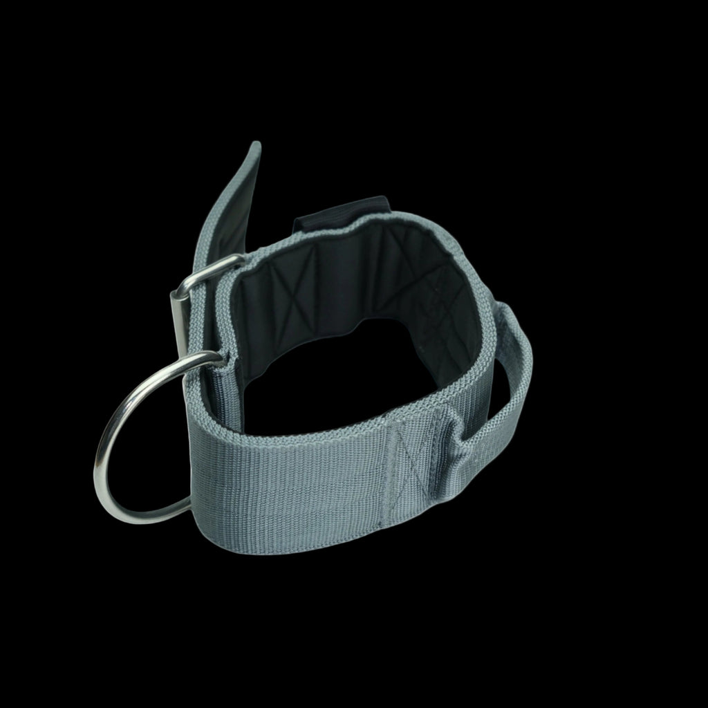 Pure Dog K9 Sport Collar Grey