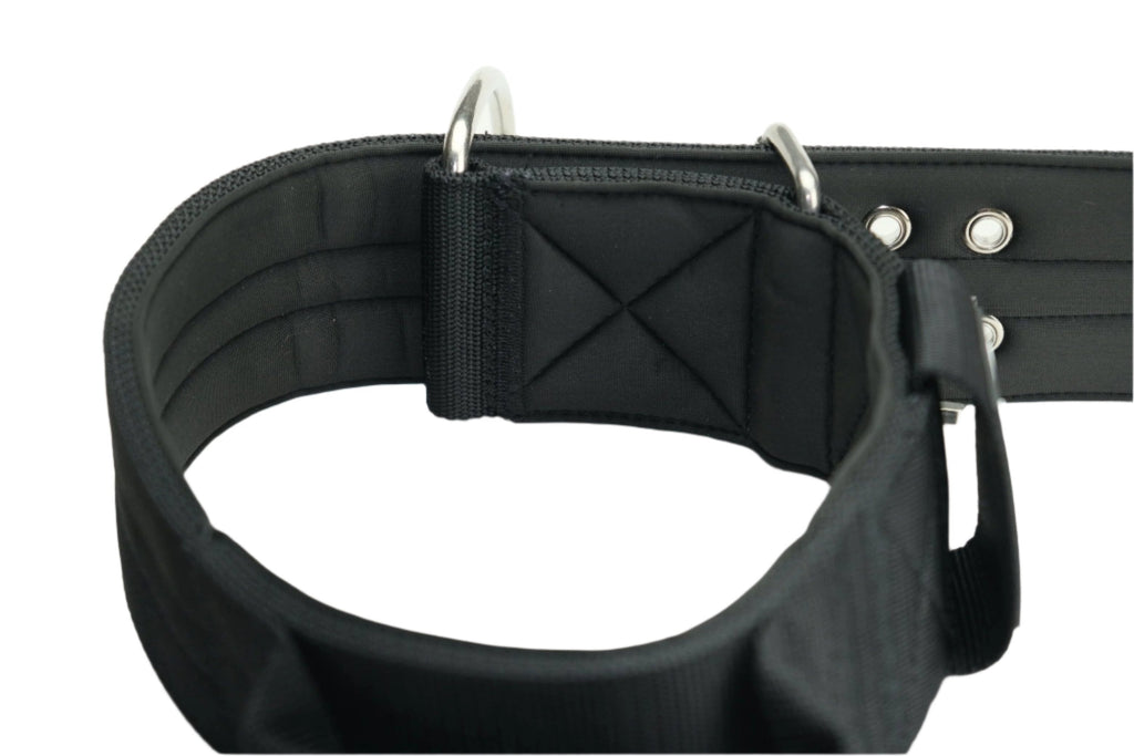 Pure Dog K9 Sport Collar Black
