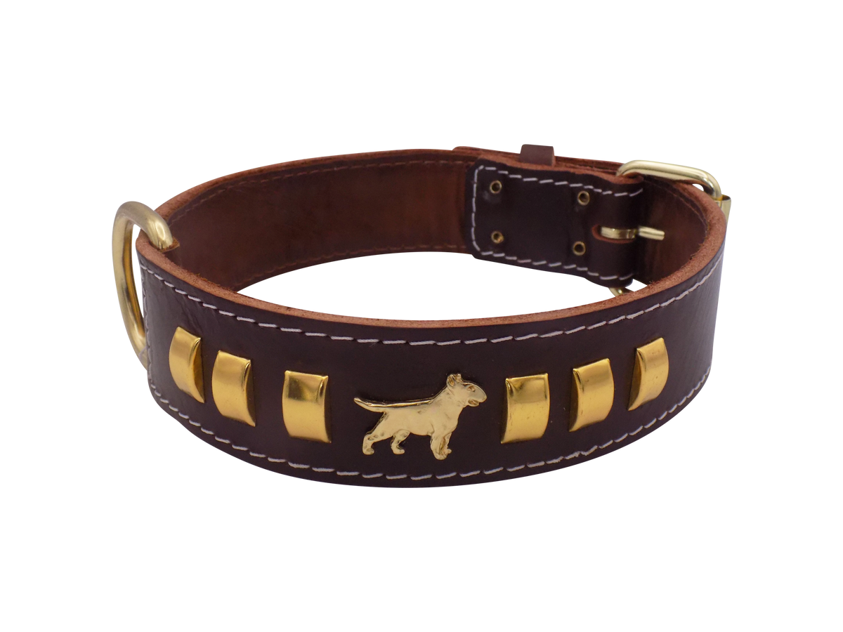 1.5" wide Leather Dog Collar with Decorative Gold Design and English Bull Terrier Badges