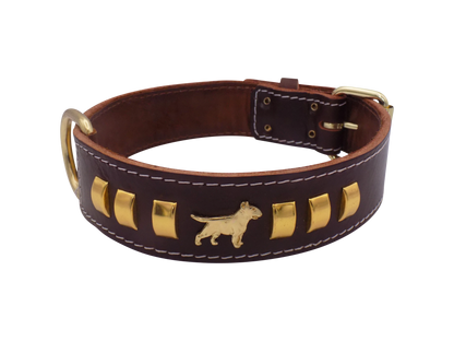 1.5" wide Leather Dog Collar with Decorative Gold Design and English Bull Terrier Badges