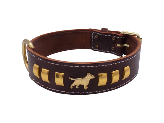 1.5" wide Leather Dog Collar with Decorative Gold Design and English Bull Terrier Badges