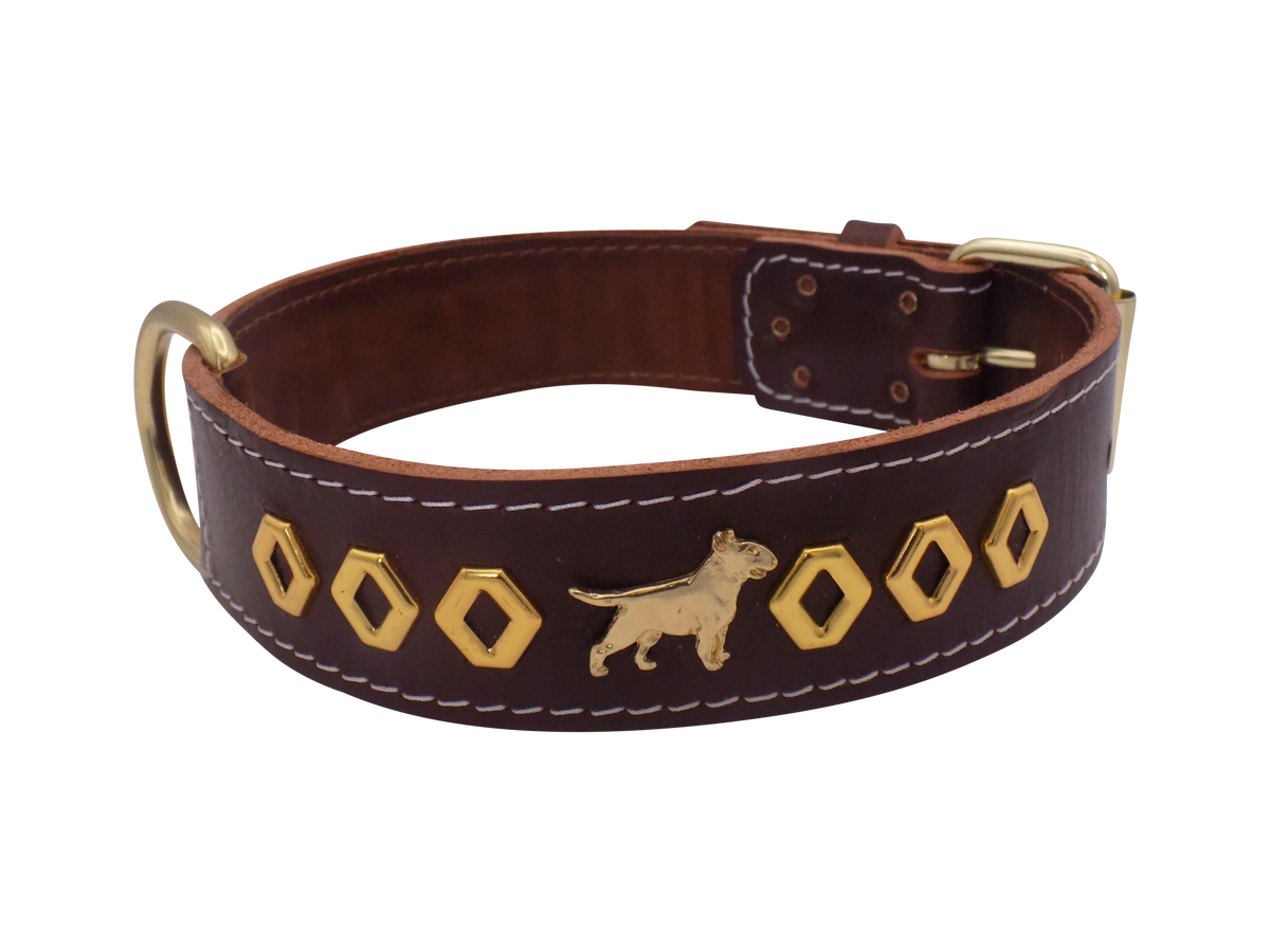 1.5" wide Leather Dog Collar with Decorative Gold Design and English Bull Terrier Badges