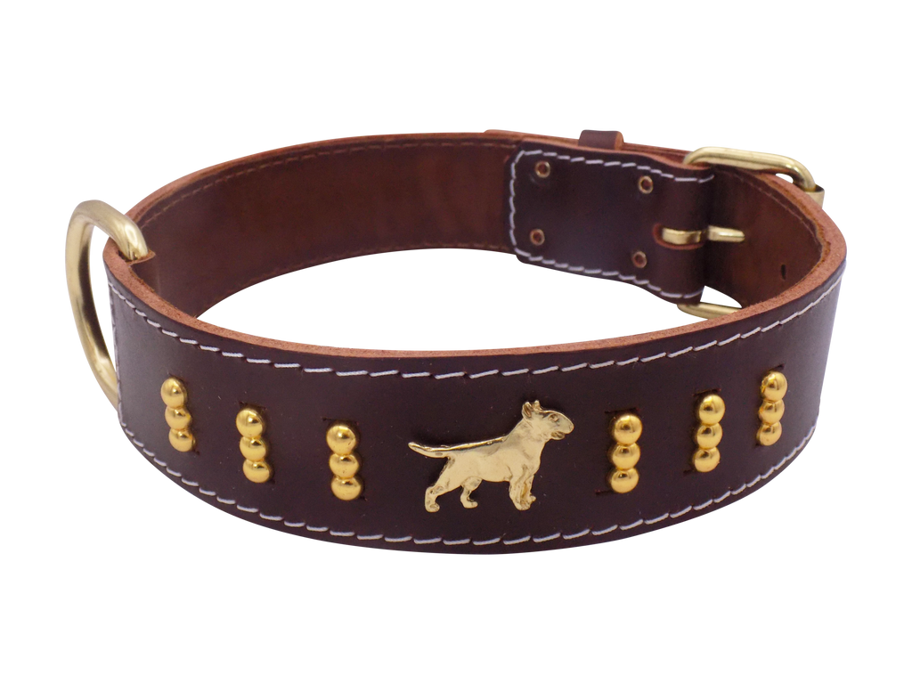 1.5" wide Leather Dog Collar with Decorative Gold Design and English Bull Terrier Badges